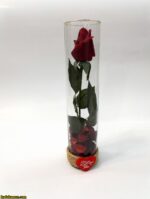 گل شیشه استوانه ولنتاین (گلدون گل تک شاخه ای) - Image 2