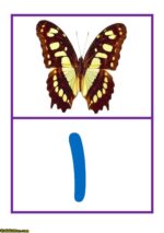 کارت اعداد 1 - Image 2