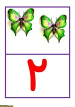 کارت اعداد 1 - Image 3