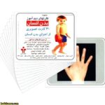 کارت دیدآموز بدن انسان