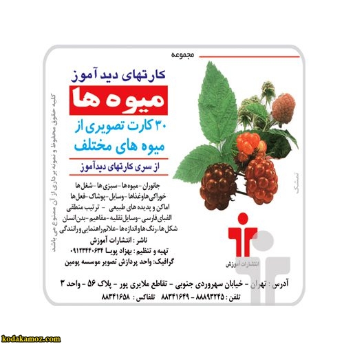 کارت دید آموز میوه ها
