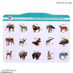 هوش چین 2 تکه مجموعه برگه حیوانات وحشی