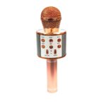 میکروفن شارژی (اسپیکر مدل ws-858 ) 1
