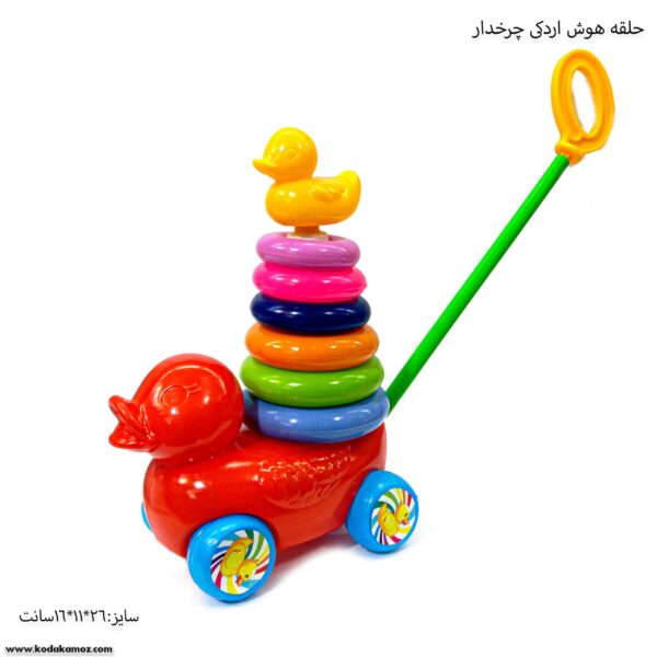 حلقه هوش اردکی چرخدار 3
