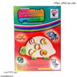 هوش چین ارتباطی حیوانات زاغک 4