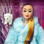 باربی مفصلی لباس خزدار باسگ آبی 4