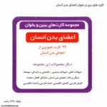 کارت های ببین و بخوان اعضای بدن انسان 2