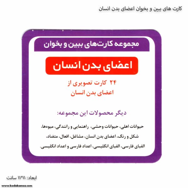 کارت های ببین و بخوان اعضای بدن انسان 2