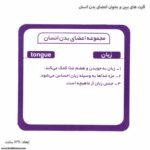 کارت های ببین و بخوان اعضای بدن انسان 4