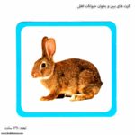 کارت های ببین و بخوان حیوانات اهلی 3