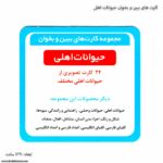 کارت های ببین و بخوان حیوانات اهلی 7