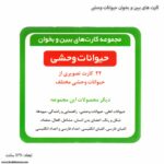 کارت های ببین و بخوان حیوانات وحشی 1