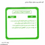 کارت های ببین و بخوان حیوانات وحشی 4