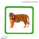 کارت های ببین و بخوان حیوانات وحشی 5