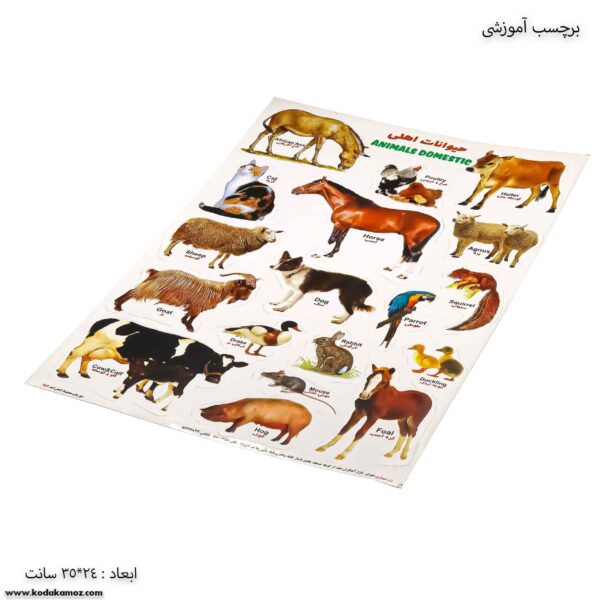 برچسب آموزشی حیوانات اهلی کج