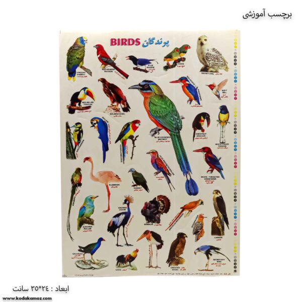 برچسب آموزشی پرندگان