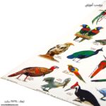 برچسب آموزشی پرندگان زوم