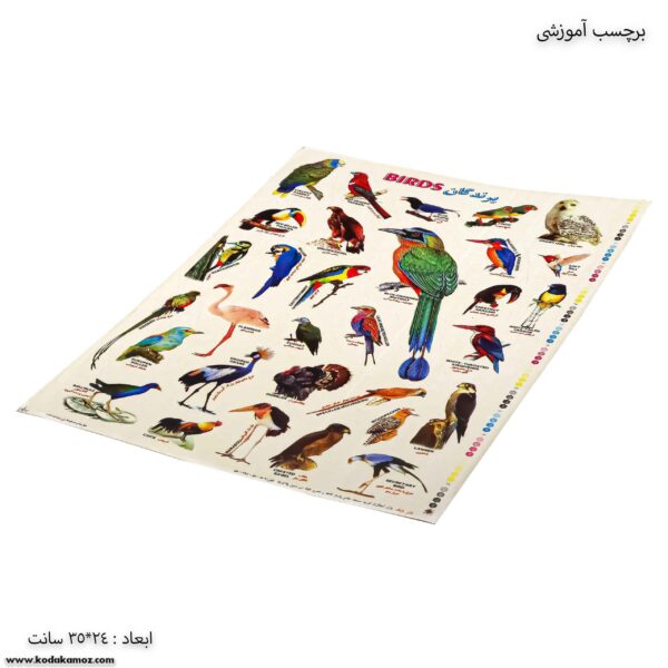 برچسب آموزشی پرندگان کج