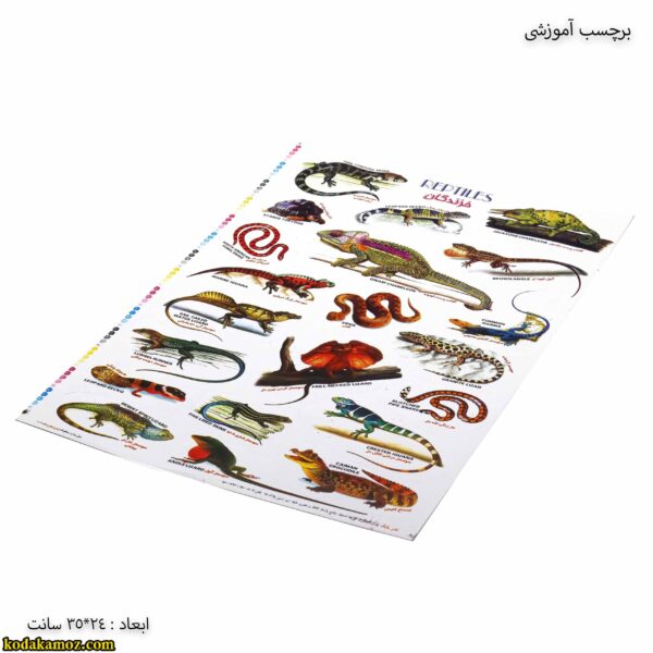 برچسب آموزشی خزندگان