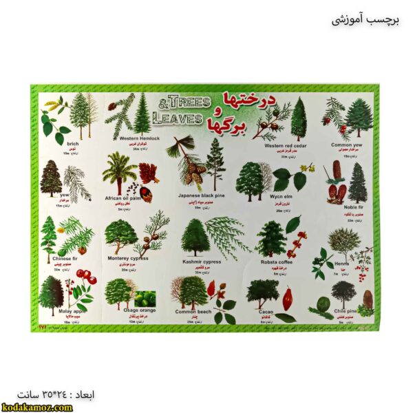 برچسب آموزشی درخت ها و برگ ها