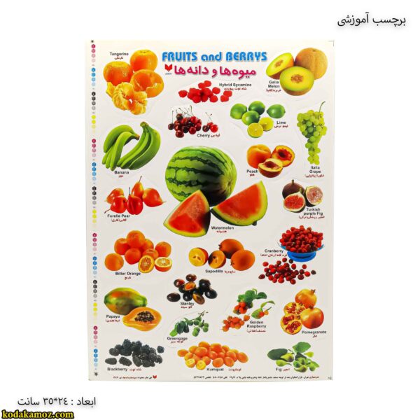 برچسب آموزشی میوه ها و دانه ها