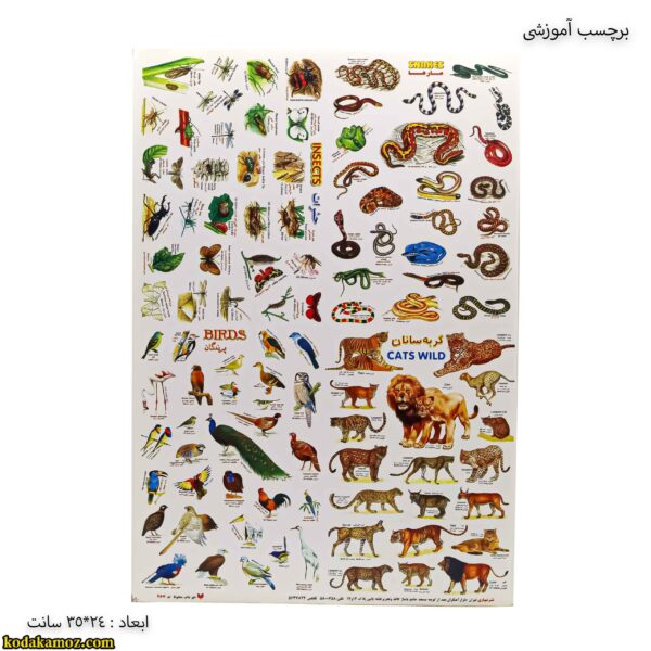 برچسب آموزشی پرندگان - مارها - پرندگان - حشرات