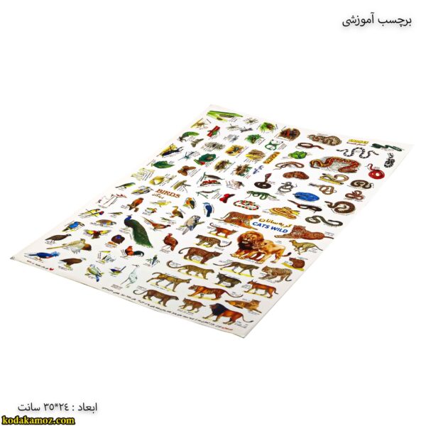 برچسب آموزشی پرندگان - مارها - پرندگان - حشرات کج