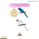 کتاب شناخت حیوانات و رنگها 4