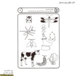کتاب علوم پیش دبستانی 3