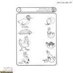 کتاب علوم پیش دبستانی 5