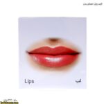 کارت پازل اعضای بدن 4