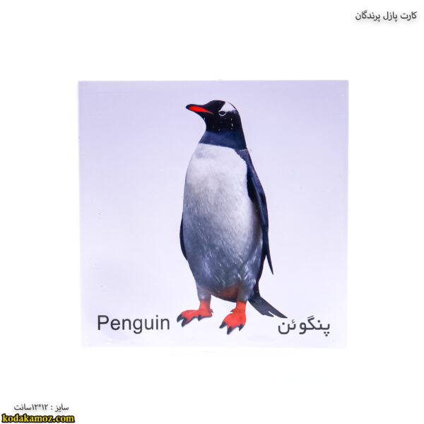 کارت پازل پرندگان6