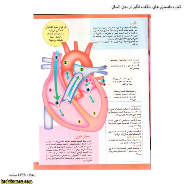 کتاب دانستنی های شگفت انگیز از بدن انسان 3