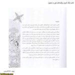 کتاب رنگ آمیزی بزرگسالان لیلی و مجنون 3