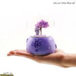 گوی موزیکال چراغدار خرس بنفش 2