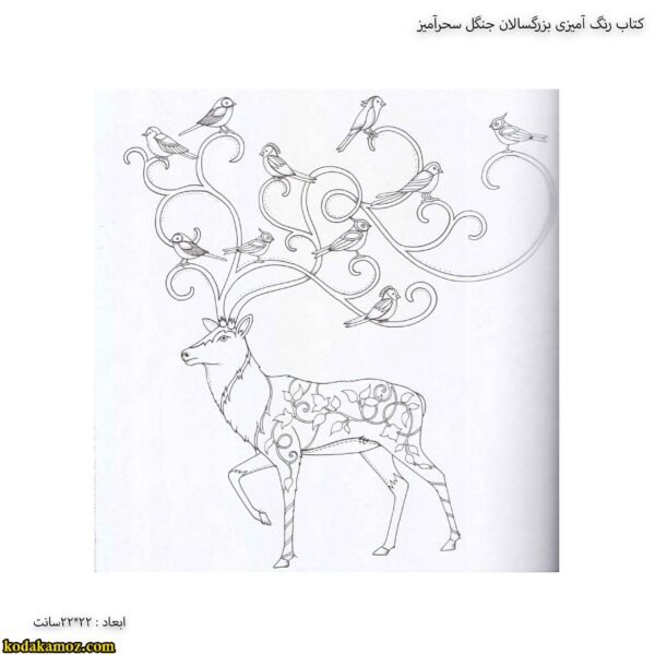 کتاب رنگ آمیزی بزرگسالان جنگل سحرآمیز 4