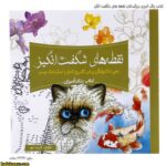 کتاب رنگ آمیزی بزرگسالان نقطه های شگفت انگیز 2
