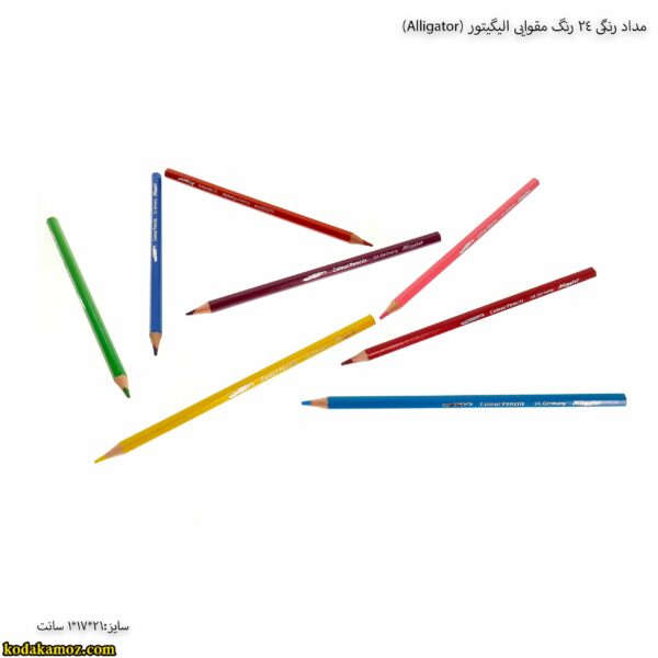 مداد رنگی 24 رنگ مقوایی الیگیتور (Alligator) - 6