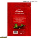مداد رنگی 36 رنگ مقوایی الیگیتور (Alligator) - 1
