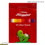 مداد رنگی 36 رنگ مقوایی الیگیتور (Alligator)