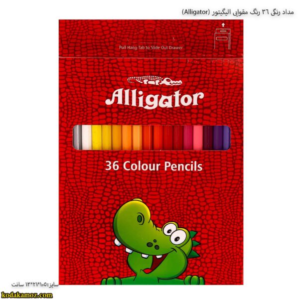 مداد رنگی 36 رنگ مقوایی الیگیتور (Alligator)
