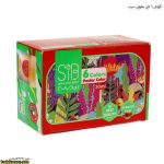 گواش 6 تایی مقوایی سیب 2