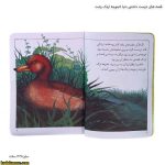 قصه های دوست داشتنی دنیا 8(جوجه اردک زشت) 5