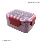 ظرف غذای دو طبقه خرسی 2