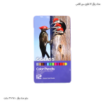 مداد رنگی 12 رنگ فلزی سی کلاس 4