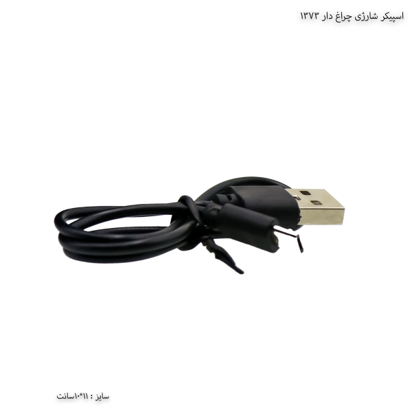 اسپیکر شارژی چراغ دار 1373 3