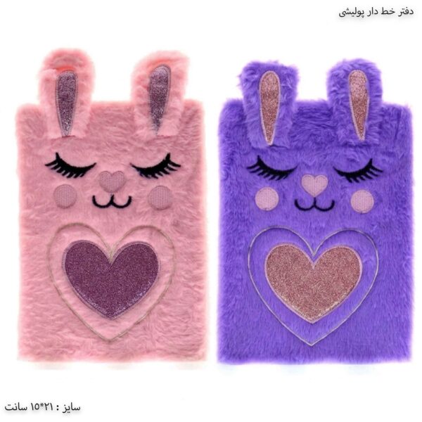 دفتر خط دار پولیشی